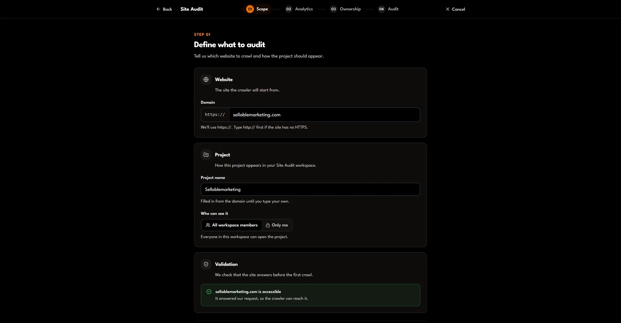 Site Audit setup step 1, Scope: the website domain, project name and who can see the project.